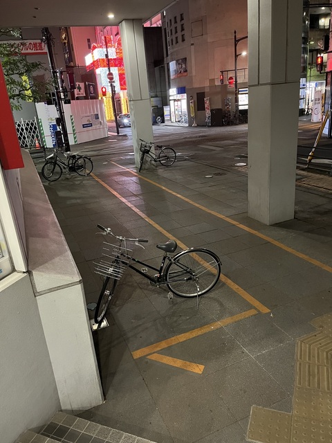IMG_2581.jpeg