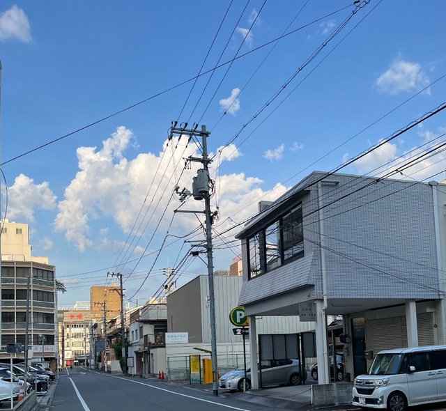 IMG_3620.jpeg