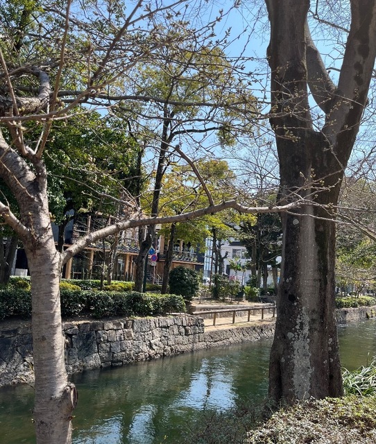IMG_4825.jpeg