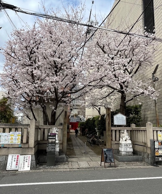 IMG_4915.jpeg